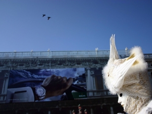 32_giant-advertising-marciana-library-venice_rolex